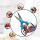 kitchen shears